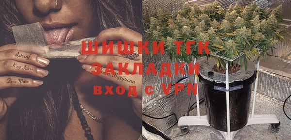 прущие грибы Аркадак